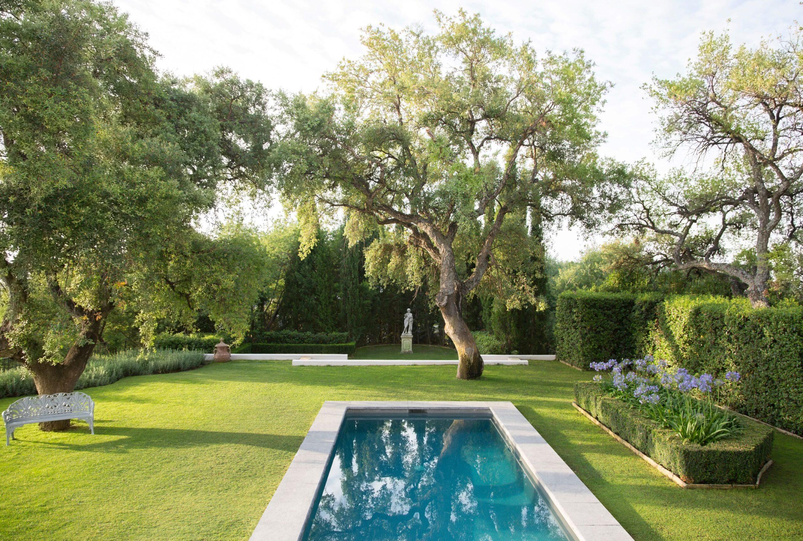 Ein langer Pool in einem Garten
